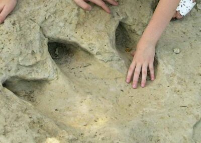 Dinosaur Valley State Park